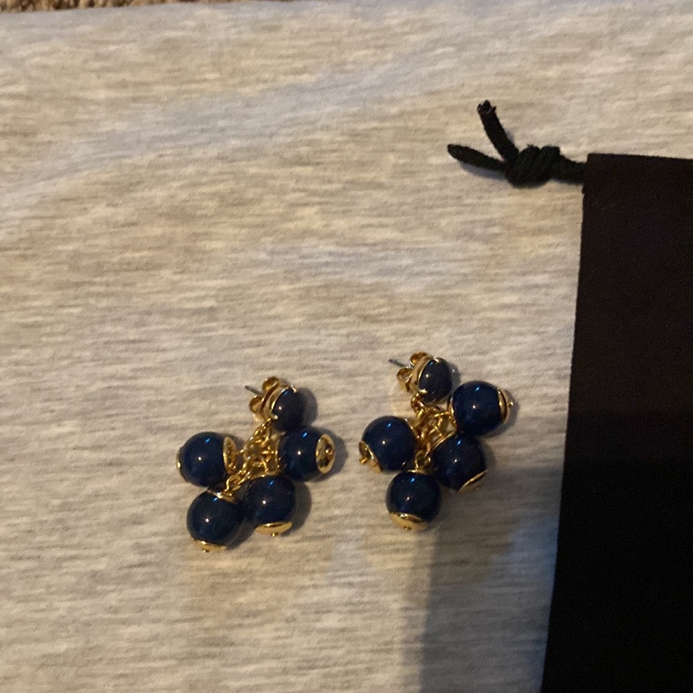 J Crew earrings - navy blue
